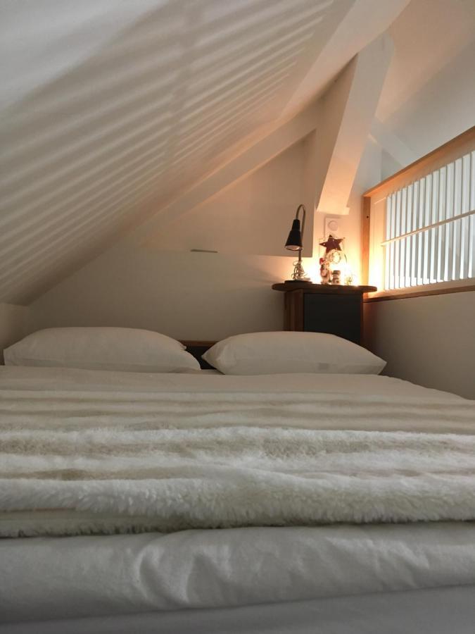 Logement Climatise Erdre Riviere La Chapelle-Sur-Erdre Exterior photo